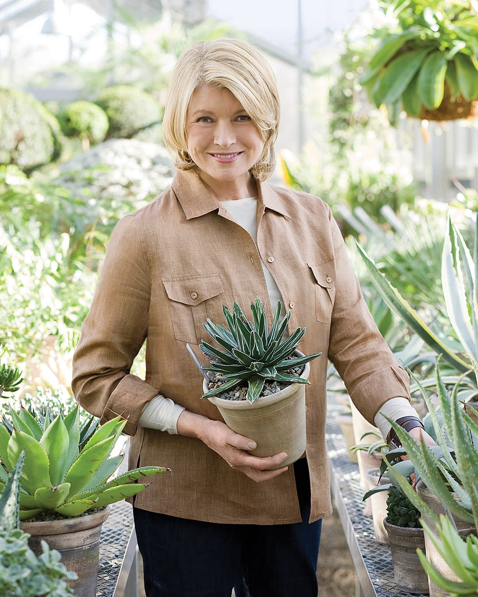 Martha Stewart Feature Tyler Banken