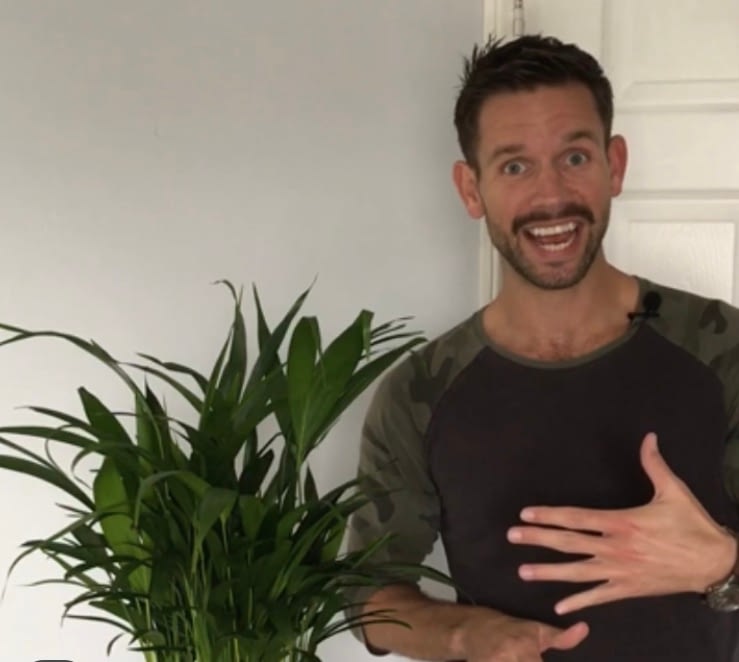 Purrfect Interior Plant Addition: Cat Palm! – greenTtime episode 33