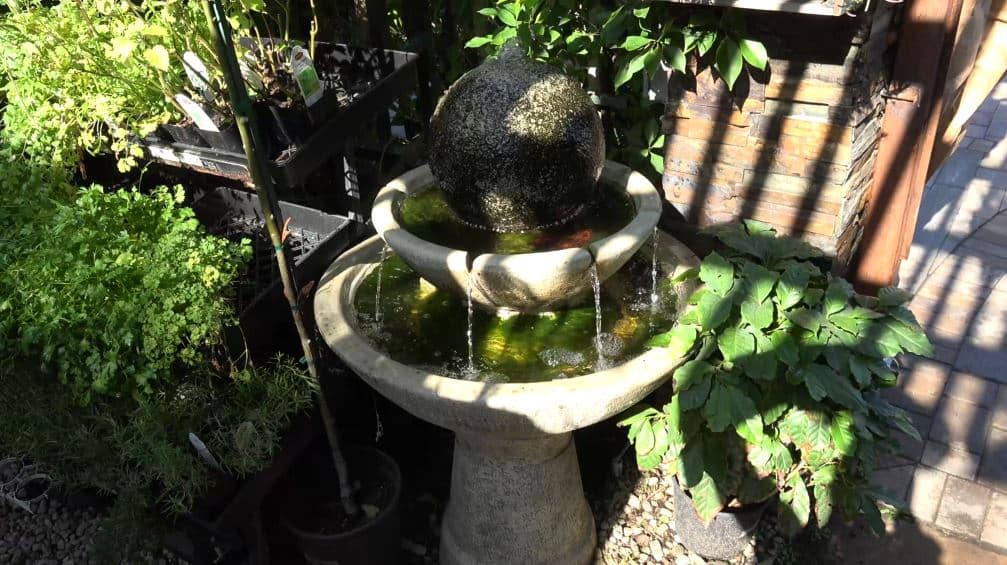 Importance of Implementing Water Feature in Your Landscape – greenTtime episode 2